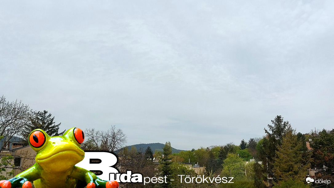 Budapest II.ker - Törökvész