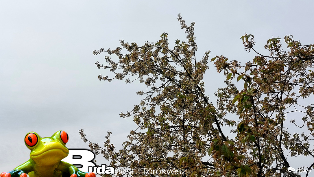 Budapest II.ker - Törökvész