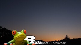 Budapest II.ker - Törökvész