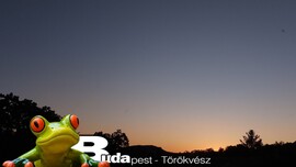 Budapest II.ker - Törökvész