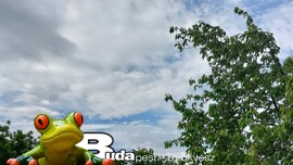 Budapest II.ker - Törökvész