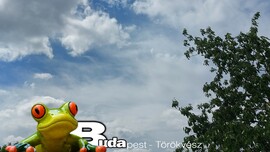 Budapest II.ker - Törökvész