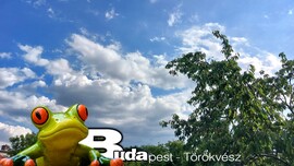 Budapest II.ker - Törökvész