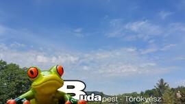 Budapest II.ker - Törökvész