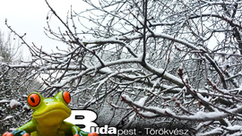 Budapest II.ker - Törökvész