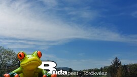 Budapest II.ker - Törökvész