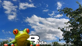 Budapest II.ker - Törökvész