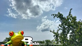 Budapest II.ker - Törökvész