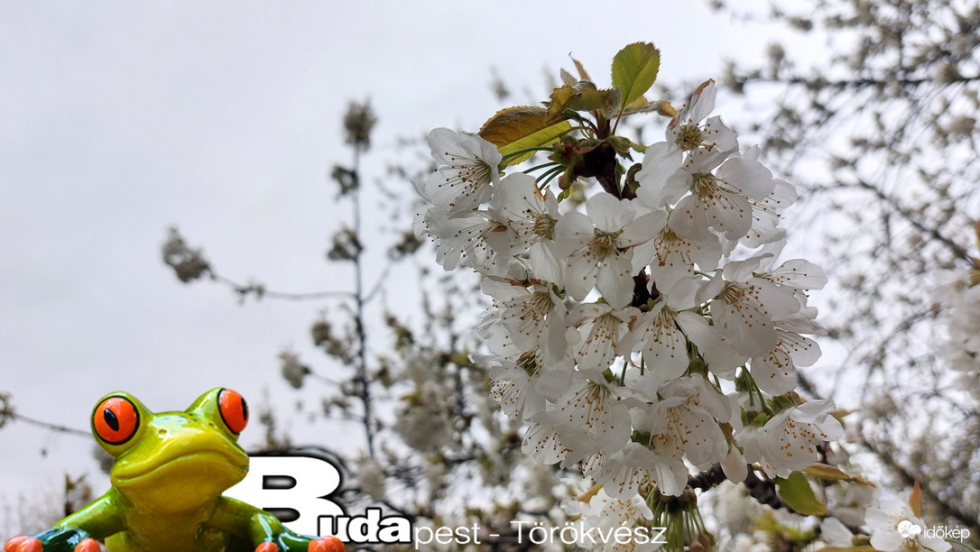 Budapest II.ker - Törökvész