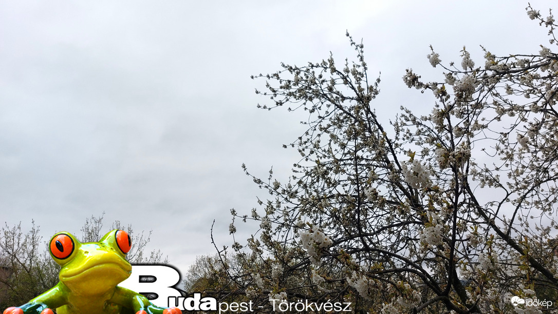 Budapest II.ker - Törökvész