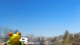 Budapest II.ker - Törökvész