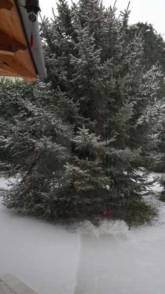 Budapest VII.ker - Erzsébetváros