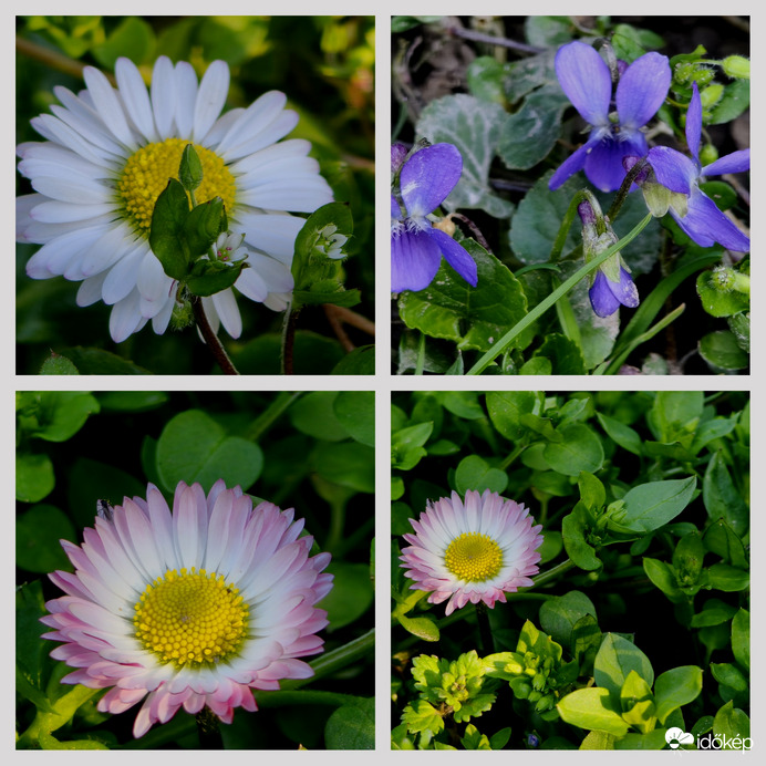 Erőteljesen tavaszodik