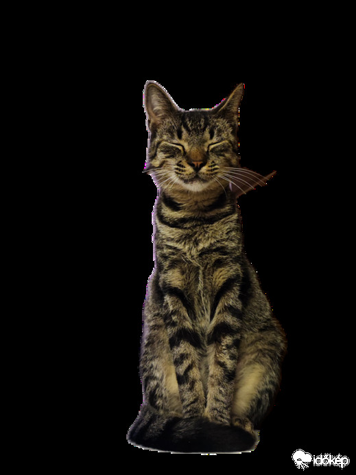 Az én kis hercegem :-)