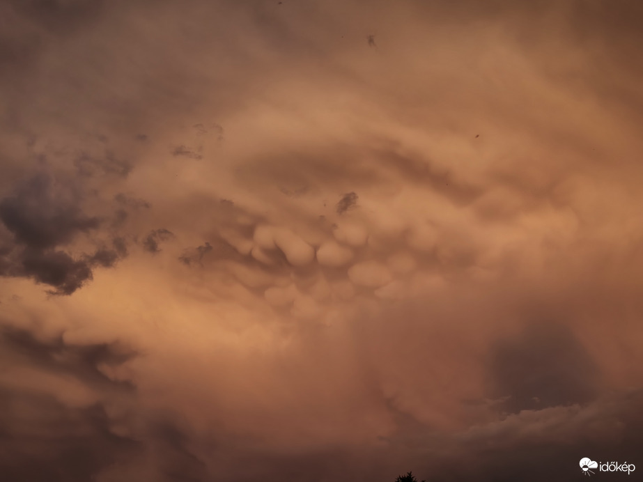 Mammatus 