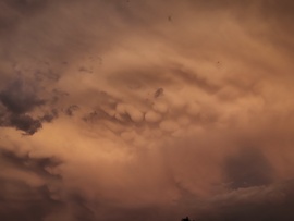 Mammatus 