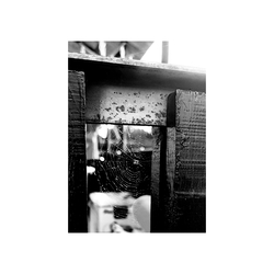 2*2 cm-es csoda