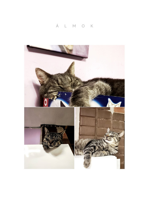 Édes otthon, édes álom :-))