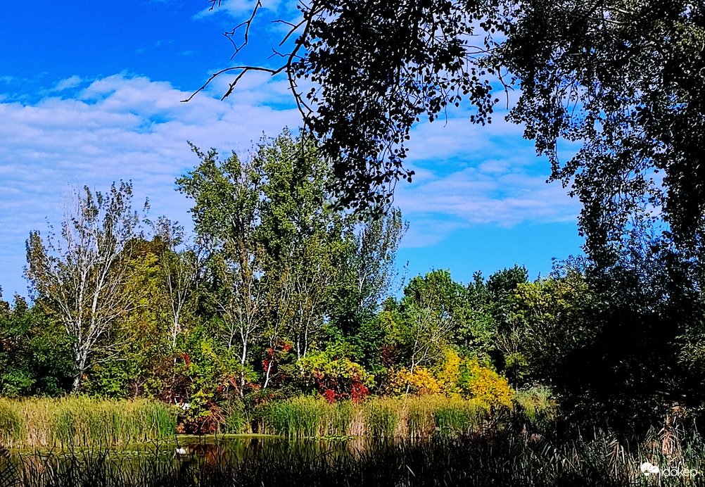 Kezdi az  "igazi" ruháját felvenni az őszi természet ❤️