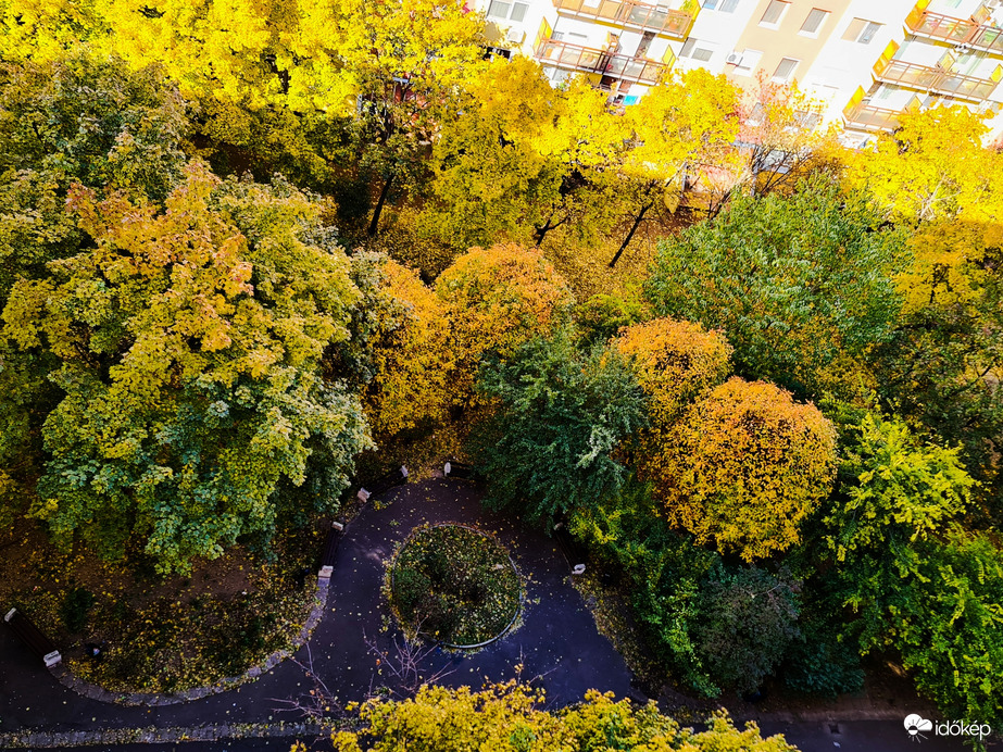 Lakótelepi ősz 
