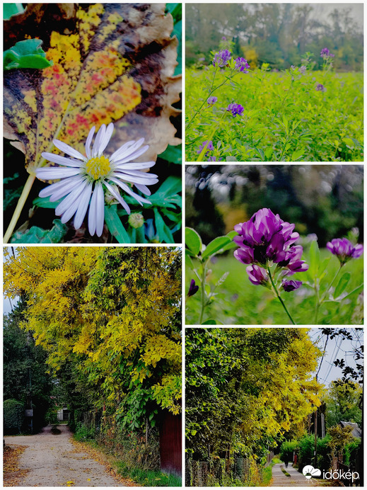 Csak elugrottam a boltba élesztőért...:-D