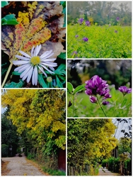 Csak elugrottam a boltba élesztőért...:-D