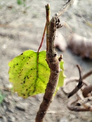 Az élet mindenhol és mindenkor élni akar...:-)