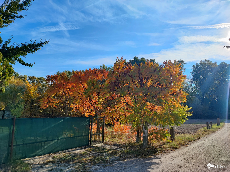 Csak úgy,mert szép 