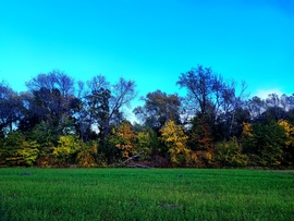 Ezerarcú természet 