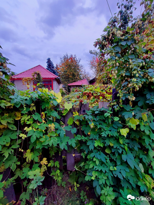 Amikor a természet visszaveszi, ami az övé 