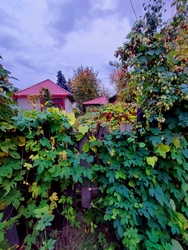 Amikor a természet visszaveszi, ami az övé 