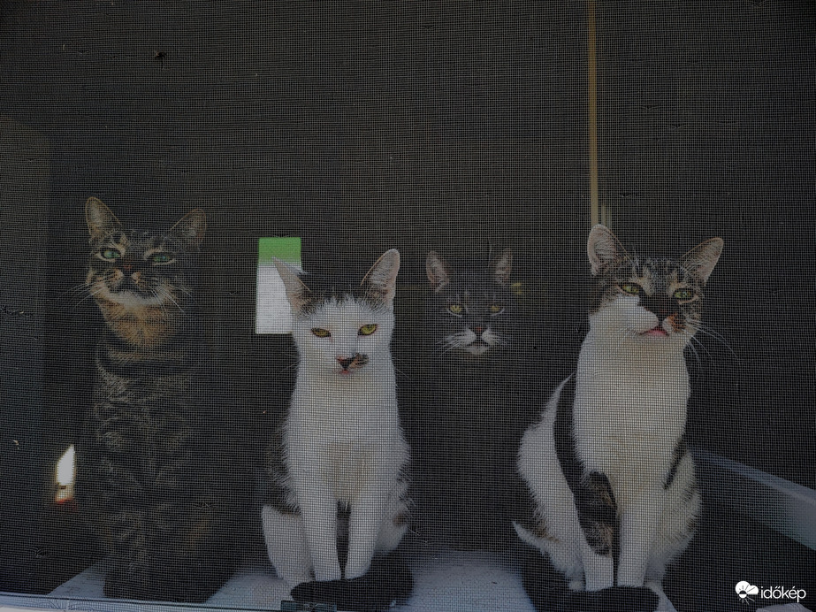 Így vártak haza ...