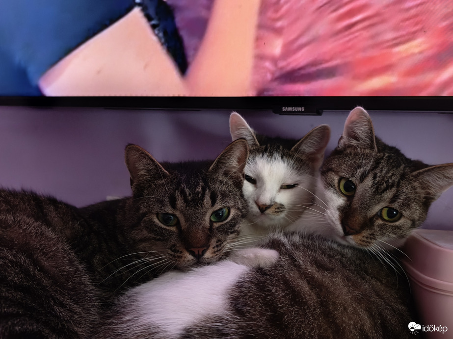 Ez itt a reklám helye :-D