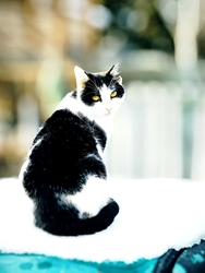 Ennyi maradt,erre vigyáznom kell :-)