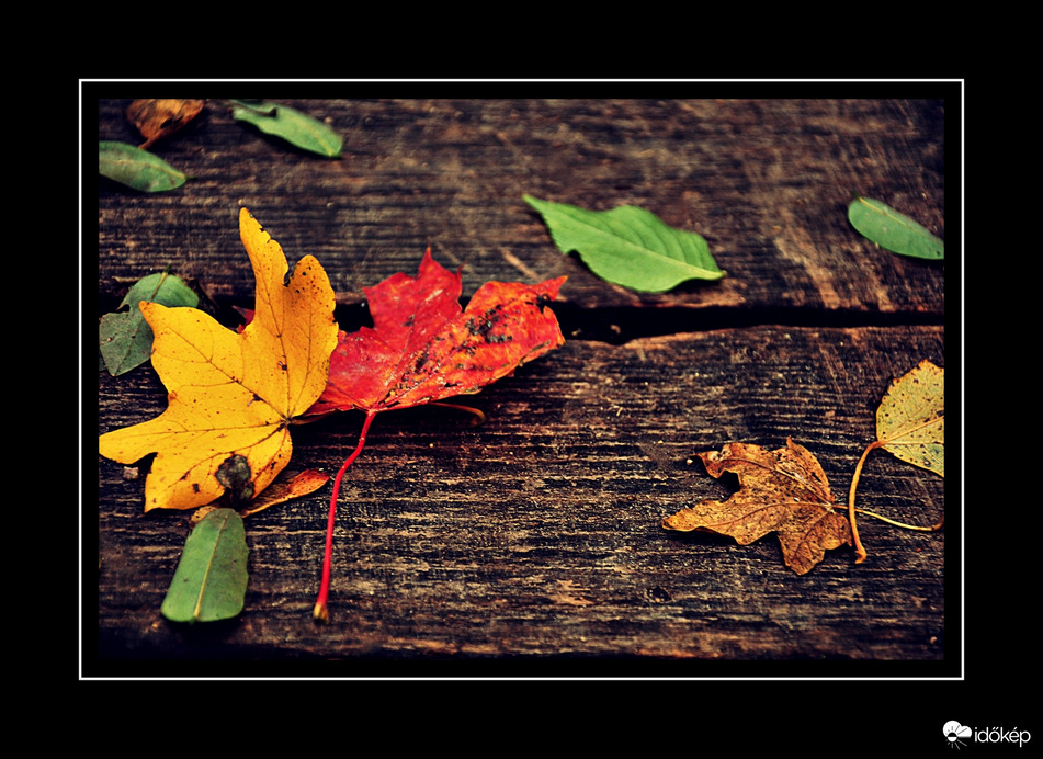 A természet alkotta:-)