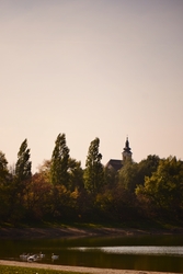 Csendélet 