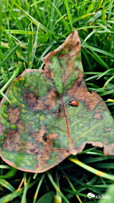 Fázom, valaki melegítsen fel! 