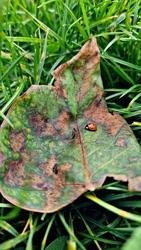 Fázom, valaki melegítsen fel! 