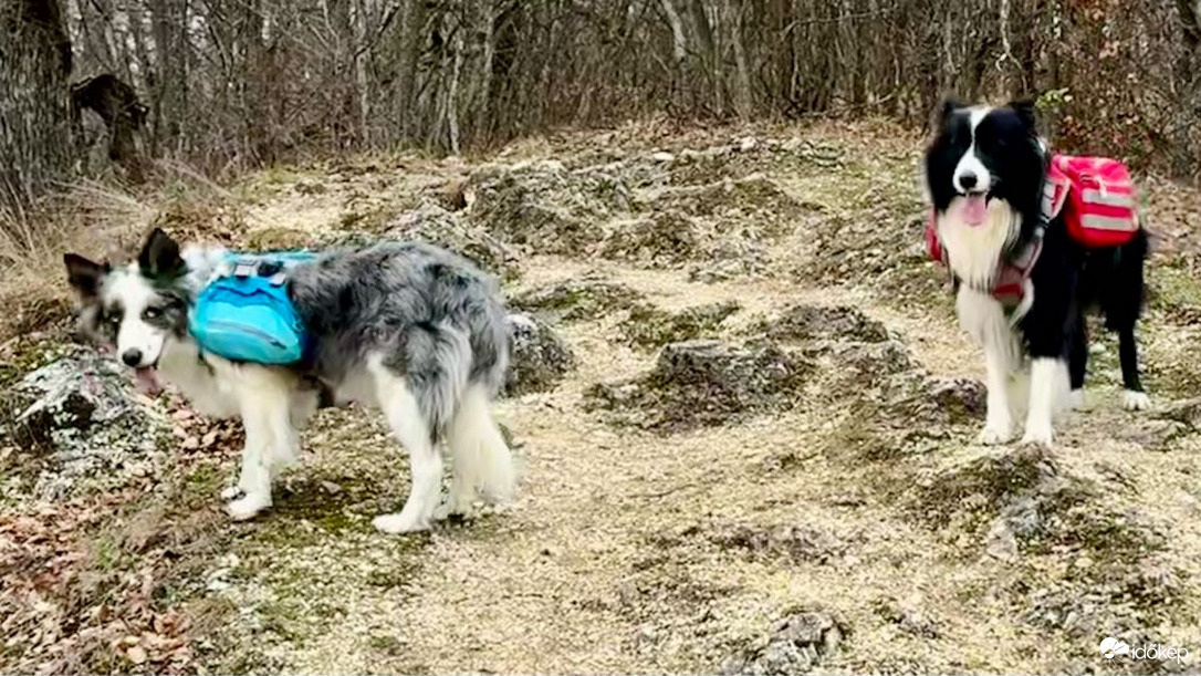 Jásd