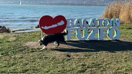 Balatonfűzfő