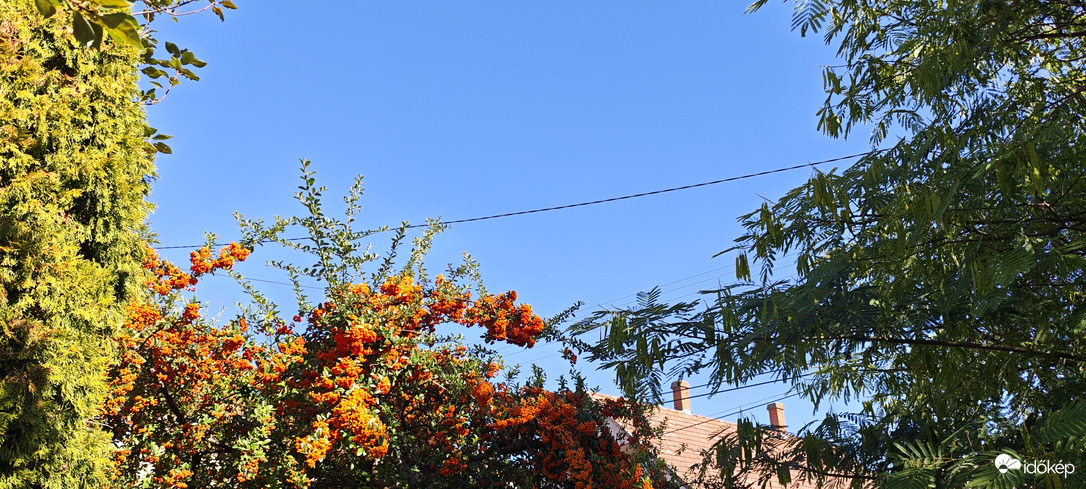 Foktő