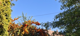 Foktő