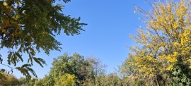 Foktő