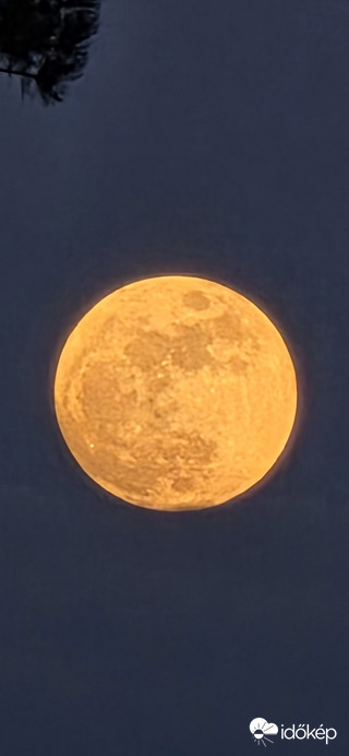 Budapest II.ker - Rózsadomb