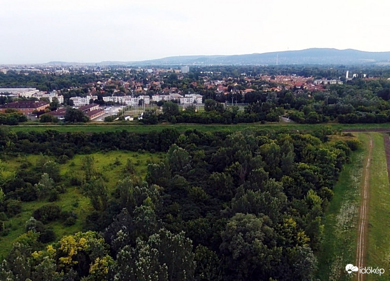 Újpest
