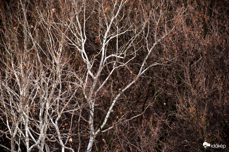 Még alszik a természet