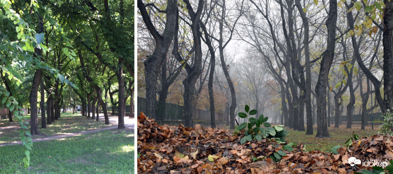 Átöltözött a természet