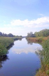 Ráckevei dunaág