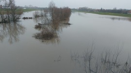 Jánoshida
