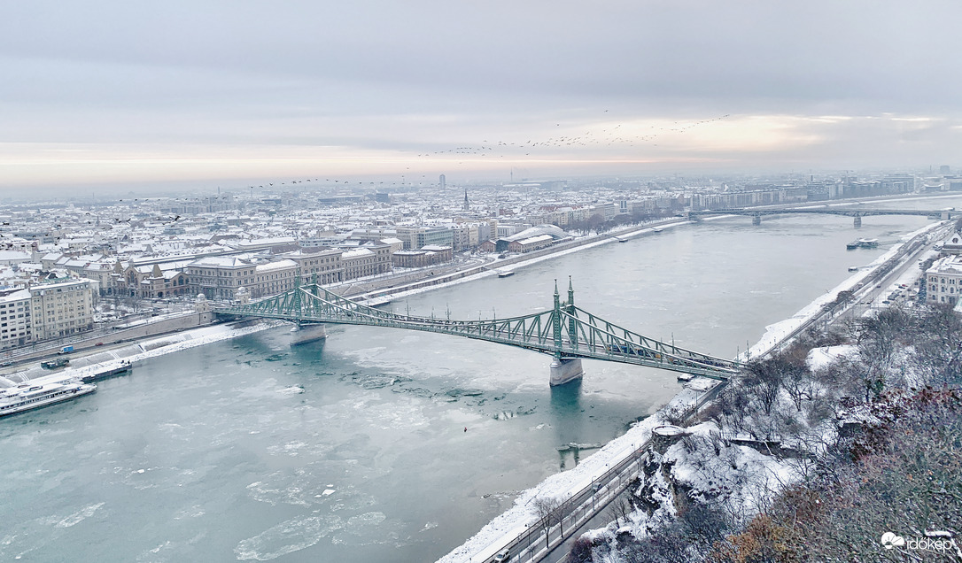 Crows over the Danube